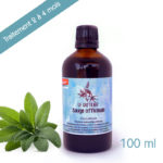 Sauge Officinale – Teinture mère 100ml