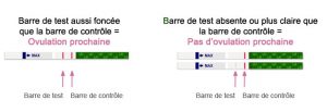 Lecture des tests d'ovulation urinaires