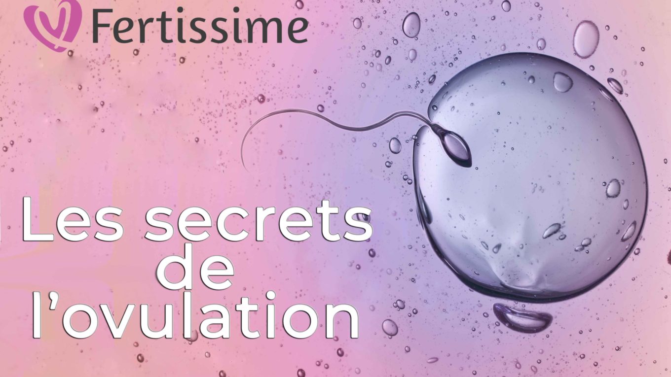 Conférence sur les secrets de l'ovulation